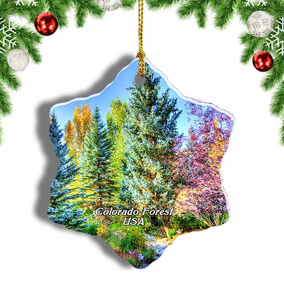 America USA Vail Colorado Forest Christmas Ornament 3 Inches Snow