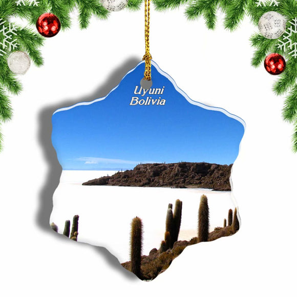 Bolivia Uyuni Cactus Lake Christmas Ornament 3 Inches Snow