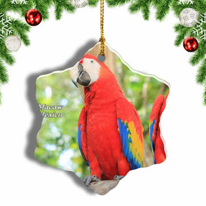 Mexico Scarlet Macaw Christmas Ornament 3 Inches Snow