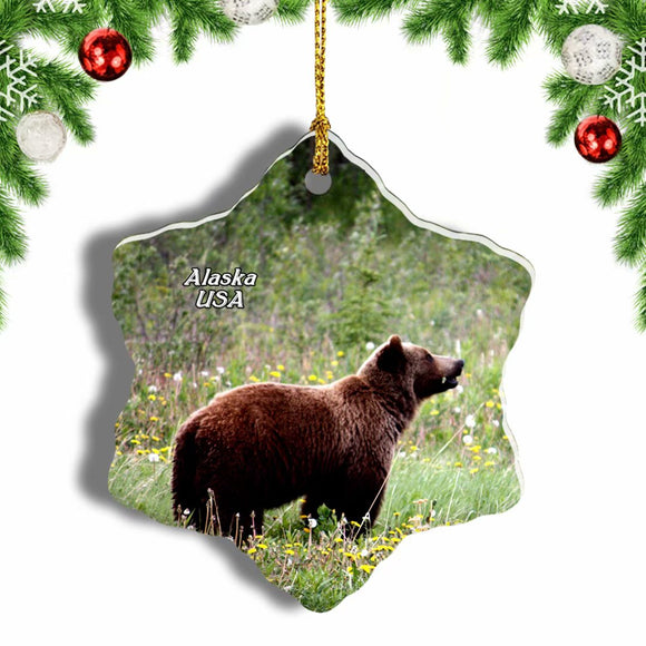 USA America Grizzly Alaska Christmas Ornament 3 Inches Snow