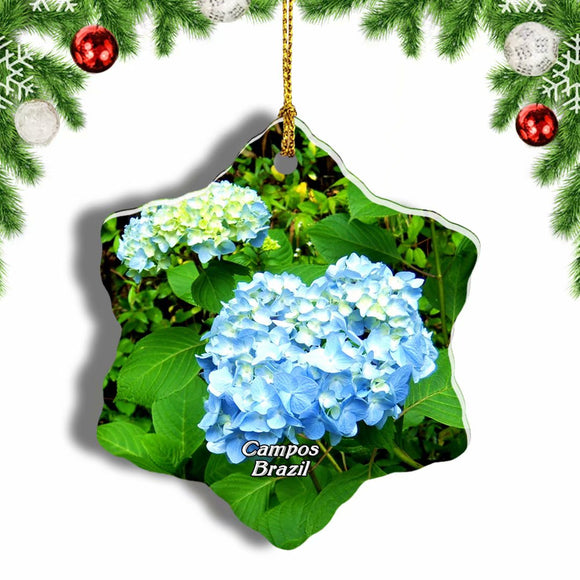 Brazil Amantikir Park Campos Do Jordao Christmas Ornament 3 Inches Snow