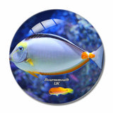 UK England Bournemouth Oceanarium 3D Fridge Magnet Crystal Glass