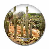USA America Cactus Gardens Henderson 3D Fridge Magnet Crystal Glass