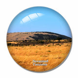 Tanzania Savannah 3D Fridge Magnet Crystal Glass