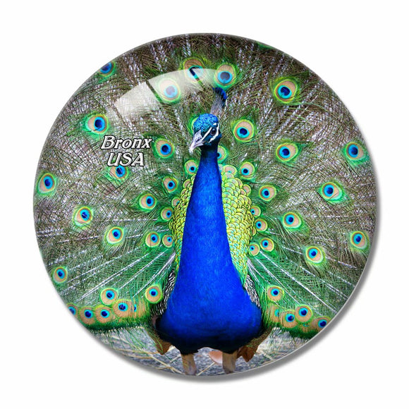 USA America Bronx Zoo Peacock 3D Fridge Magnet Crystal Glass