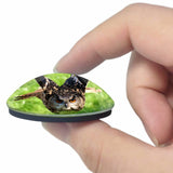 USA America Marysville Owl West Coast Falconry 3D Fridge Magnet Crystal Glass