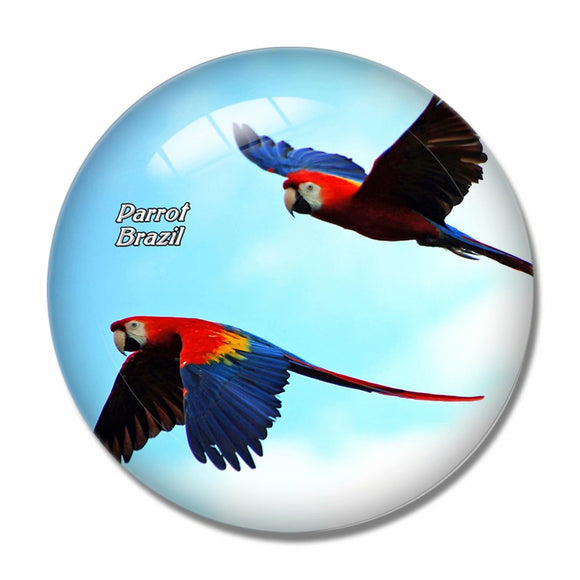 Brazil Parrots Flying 3D Fridge Magnet Crystal Glass