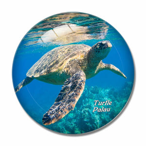 Palau Turtle 3D Fridge Magnet Crystal Glass