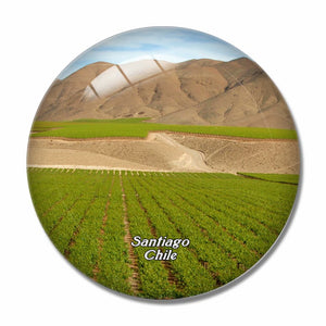 Vina Cousino Macul Winery Santiago Chile 3D Fridge Magnet Crystal Glass