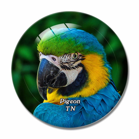 Pigeon Forge Parrot Gardens Tennessee USA 3D Fridge Magnet Crystal Glass
