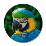 Pigeon Forge Parrot Gardens Tennessee USA 3D Fridge Magnet Crystal Glass