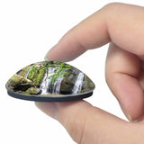 USA America Bellingham Whatcom Falls Park 3D Fridge Magnet Crystal Glass
