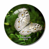 USA America Gainesville Butterfly Rainforest 3D Fridge Magnet Crystal Glass