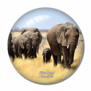 Namibia Elephant 3D Fridge Magnet Crystal Glass