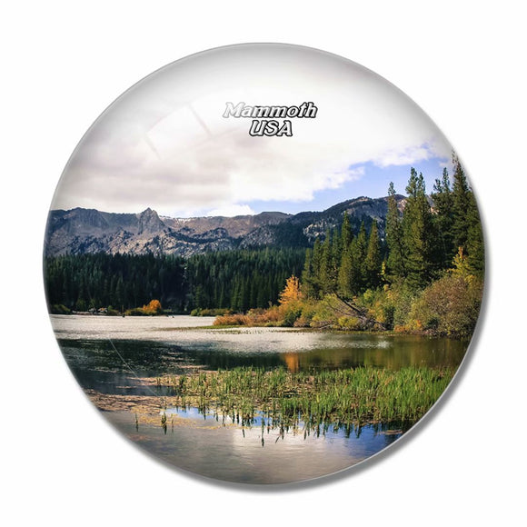 USA America Mammoth Lakes 3D Fridge Magnet Crystal Glass