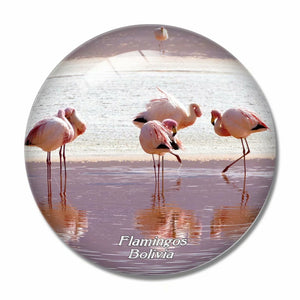 Bolivia Flamingos Lagoon 3D Fridge Magnet Crystal Glass