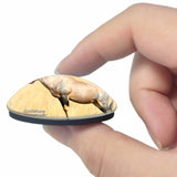 Tanzania Antelope 3D Fridge Magnet Crystal Glass