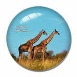 Tanzania Giraffe 3D Fridge Magnet Crystal Glass