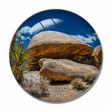 America USA California Yoshua Tree National Park 3D Fridge Magnet Crystal Glass