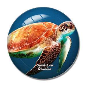 Turtle Saint-Leu Reunion 3D Fridge Magnet Crystal Glass