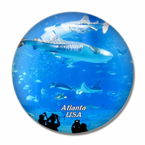 USA America Georgia Aquarium Atlanta 3D Fridge Magnet Crystal Glass