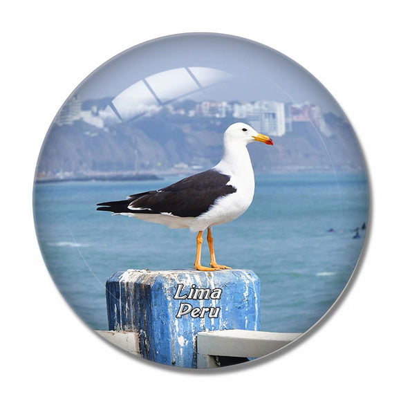 Bird Lima Peru 3D Fridge Magnet Crystal Glass