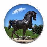 USA America Frederik Meijer Gardens & Sculpture Park Grand Rapids 3D Fridge Magnet Crystal Glass