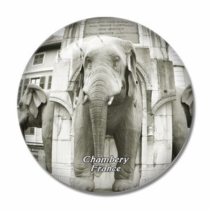 France Fountain of Elephants Chambery 3D Fridge Magnet Crystal Glass