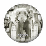 France Fountain of Elephants Chambery 3D Fridge Magnet Crystal Glass