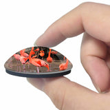 USA America Brownsville Gladys Porter Zoo 3D Fridge Magnet Crystal Glass