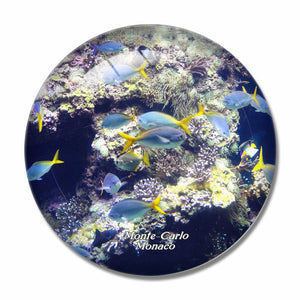 Monaco Museum Aquarium Monte Carlo 3D Fridge Magnet Crystal Glass