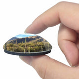 USA America Arizona-Sonora Desert Museum Tucson 3D Fridge Magnet Crystal Glass