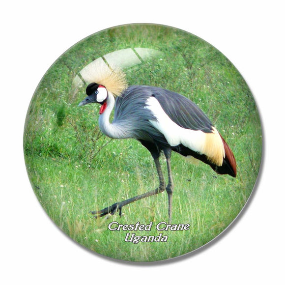 Uganda Crested Crane Bird 3D Fridge Magnet Crystal Glass