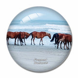 Horse Beach Freeport Bahamas 3D Fridge Magnet Crystal Glass