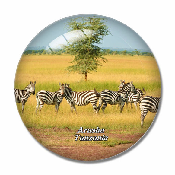 Zebra Arusha Tanzania 3D Fridge Magnet Crystal Glass