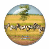 Zebra Arusha Tanzania 3D Fridge Magnet Crystal Glass