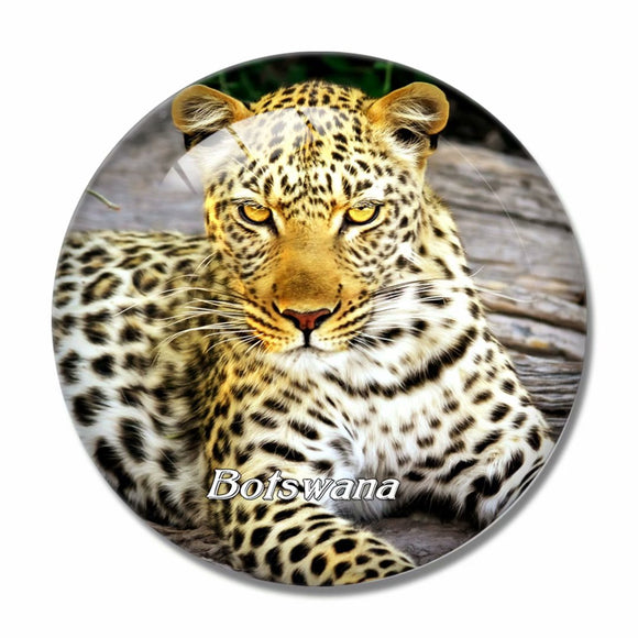 Cheetah Botswana 3D Fridge Magnet Crystal Glass