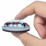 Horse Beach Freeport Bahamas 3D Fridge Magnet Crystal Glass