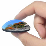 Panama 3D Fridge Magnet Crystal Glass