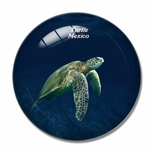 Mexico Turtle 3D Fridge Magnet Crystal Glass