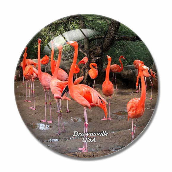 USA America Brownsville Gladys Porter Zoo 3D Fridge Magnet Crystal Glass