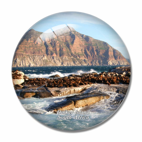 South Africa Duiker Island 3D Fridge Magnet Crystal Glass