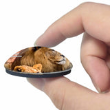 Tanzania Lion Wildlife 3D Fridge Magnet Crystal Glass