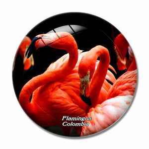 Colombia Flamingos Bird 3D Fridge Magnet Crystal Glass