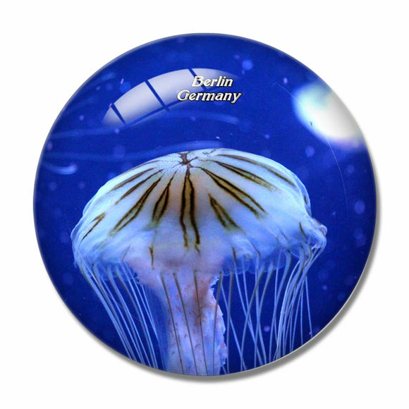 Germany Jellyfish Berlin Zoo 3D Fridge Magnet Crystal Glass