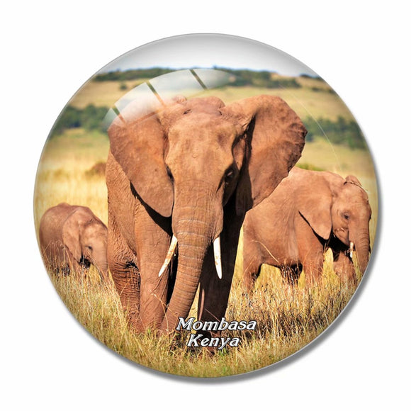 Haller Park Mombasa Kenya 3D Fridge Magnet Crystal Glass