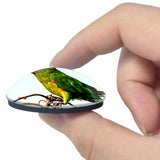 Costa Rica Parrot Bird 3D Fridge Magnet Crystal Glass