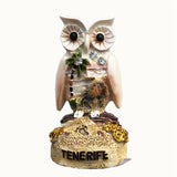 Tenerife Spain Fridge Magnet 3D Resin