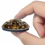 Italy Rome Sculpture Jet Fish Pantheon 3D Fridge Magnet Crystal Glass