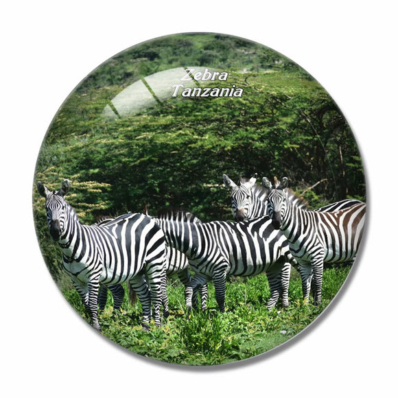 Tanzania Animals Zebra 3D Fridge Magnet Crystal Glass